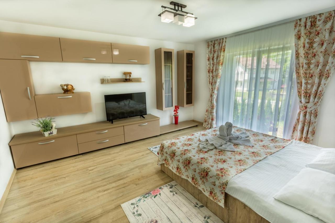 Hotel Casa Ina Moisei Zewnętrze zdjęcie